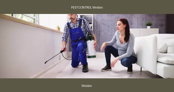 PEST CONTROL Weldon